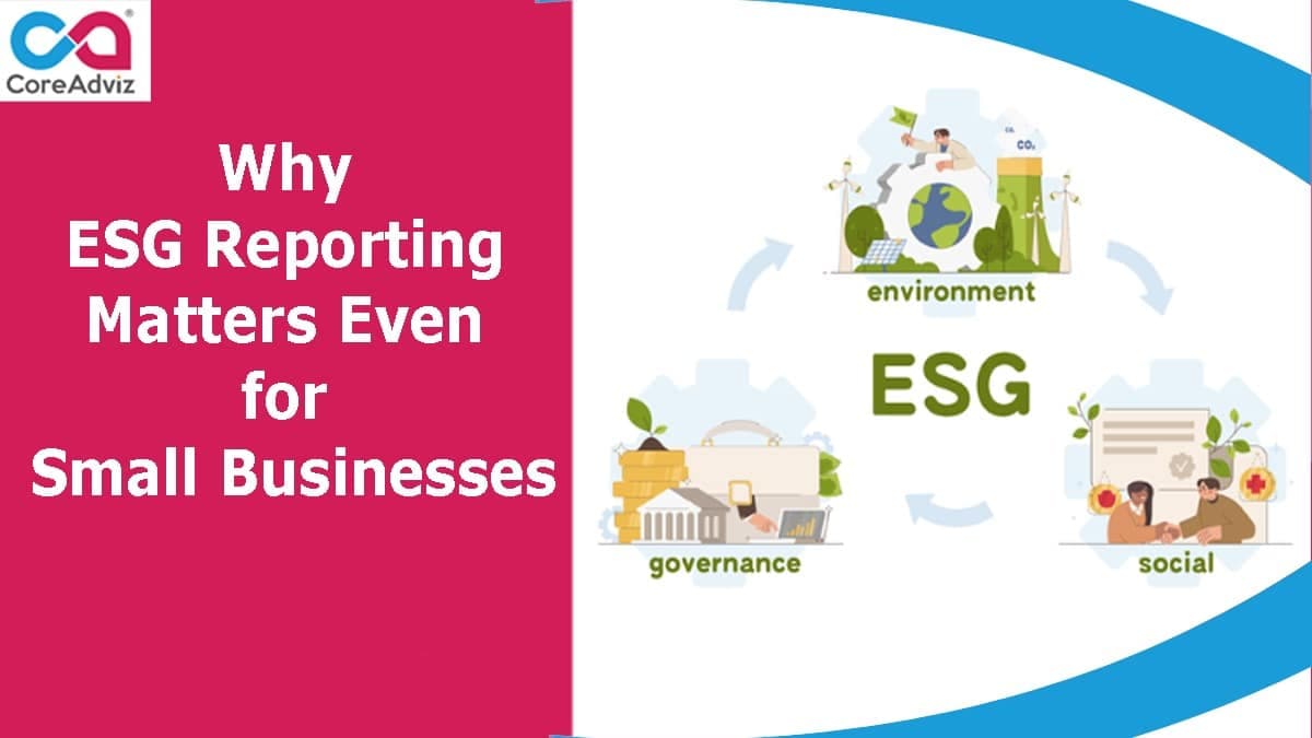 ESG Reporting for Small Business