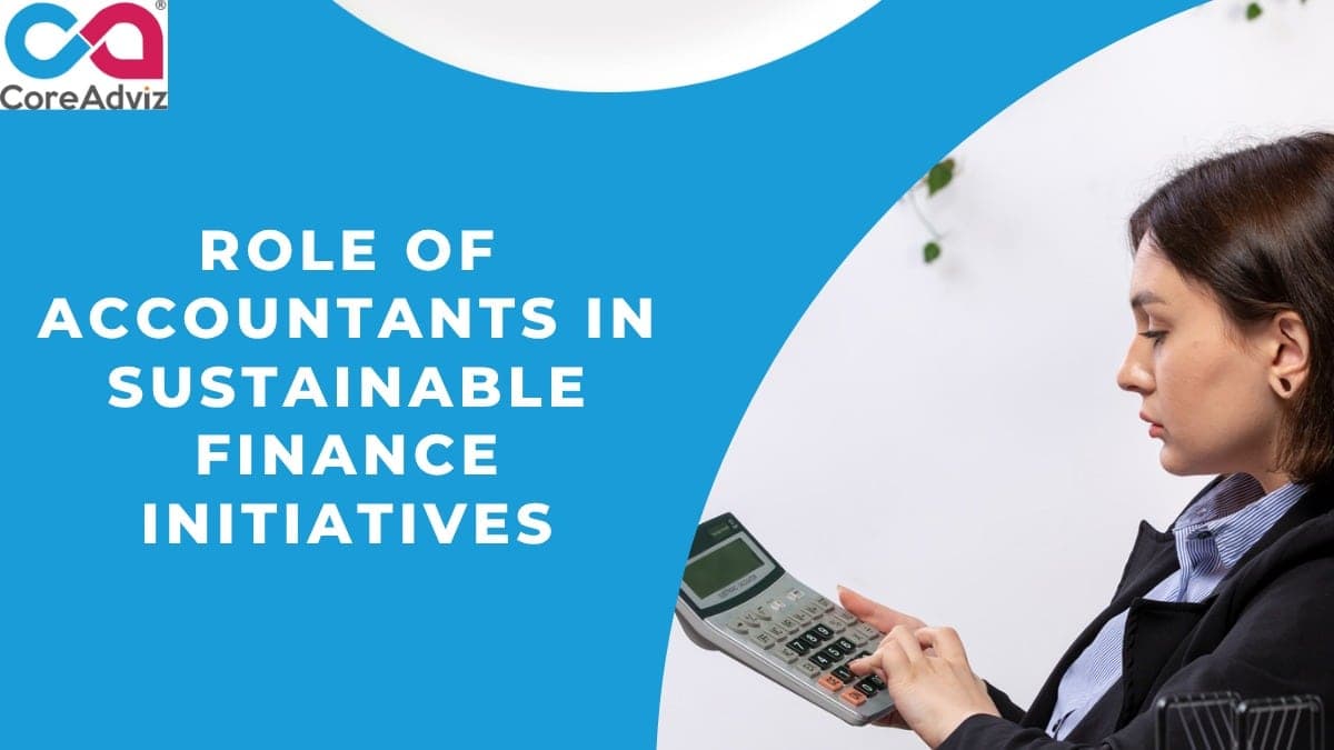 Accountants in Sustainable Finance Initiatives